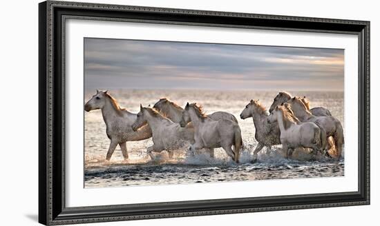 Running Horses-Xavier Ortega-Framed Photographic Print