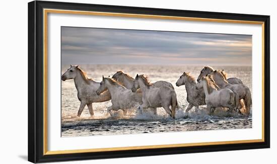 Running Horses-Xavier Ortega-Framed Photographic Print