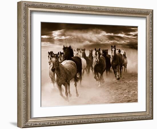 Running Horses-Monte Nagler-Framed Photo