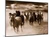 Running Horses-Monte Nagler-Mounted Photo