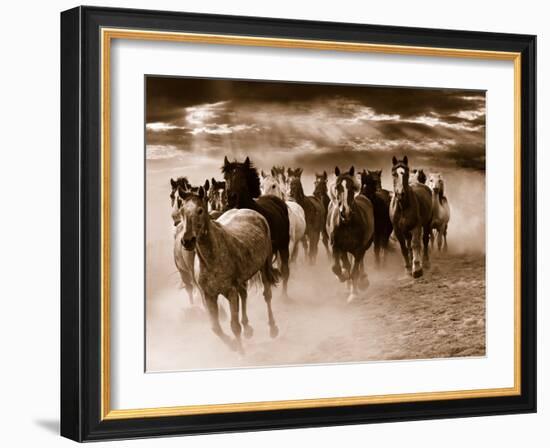 Running Horses-Monte Nagler-Framed Photo