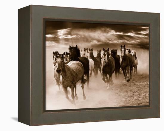 Running Horses-Monte Nagler-Framed Stretched Canvas