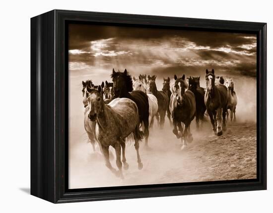 Running Horses-Monte Nagler-Framed Stretched Canvas