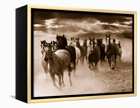 Running Horses-Monte Nagler-Framed Stretched Canvas