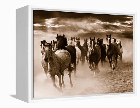 Running Horses-Monte Nagler-Framed Stretched Canvas