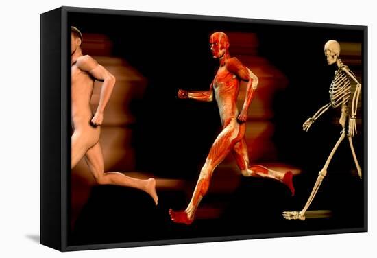 Running Man-Christian Darkin-Framed Premier Image Canvas