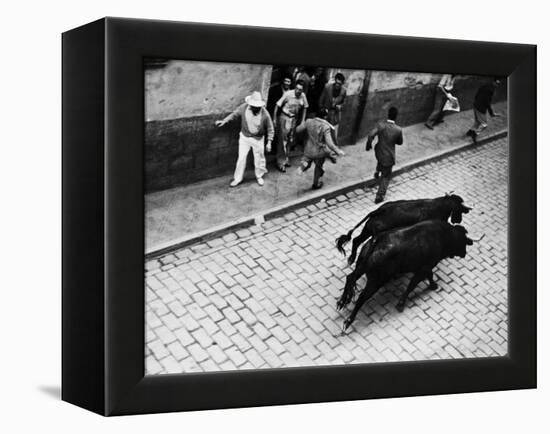 Running of the Bulls for Fiesta of San Ferman-Tony Linck-Framed Premier Image Canvas