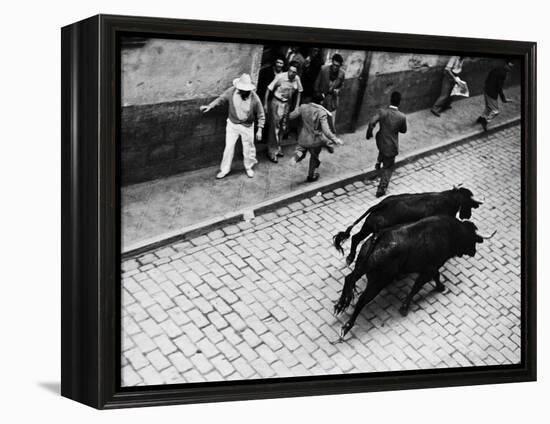 Running of the Bulls for Fiesta of San Ferman-Tony Linck-Framed Premier Image Canvas