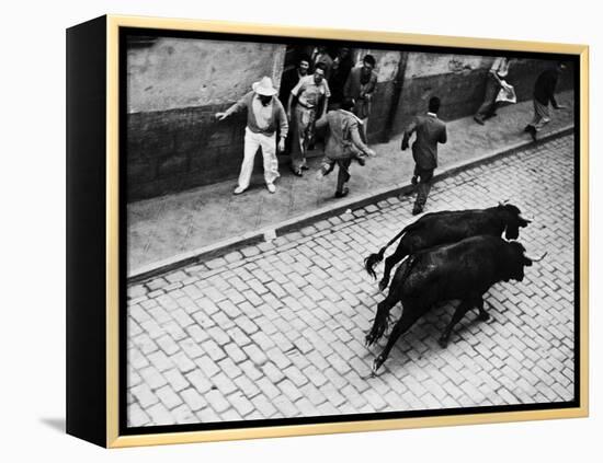 Running of the Bulls for Fiesta of San Ferman-Tony Linck-Framed Premier Image Canvas