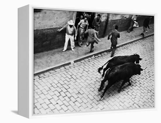 Running of the Bulls for Fiesta of San Ferman-Tony Linck-Framed Premier Image Canvas
