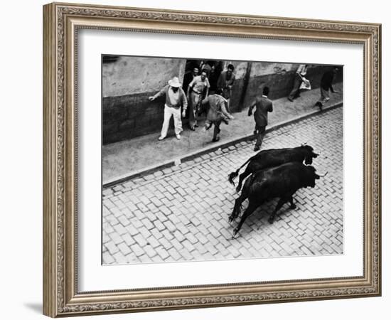 Running of the Bulls for Fiesta of San Ferman-Tony Linck-Framed Photographic Print