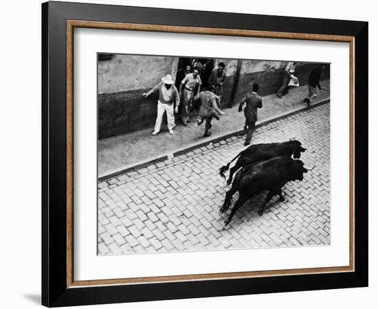 Running of the Bulls for Fiesta of San Ferman-Tony Linck-Framed Photographic Print