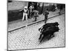 Running of the Bulls for Fiesta of San Ferman-Tony Linck-Mounted Photographic Print