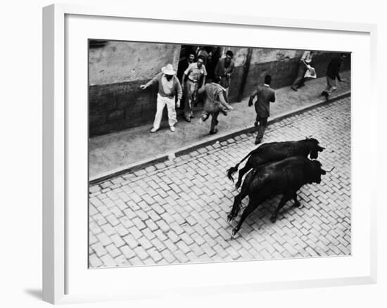 Running of the Bulls for Fiesta of San Ferman-Tony Linck-Framed Photographic Print