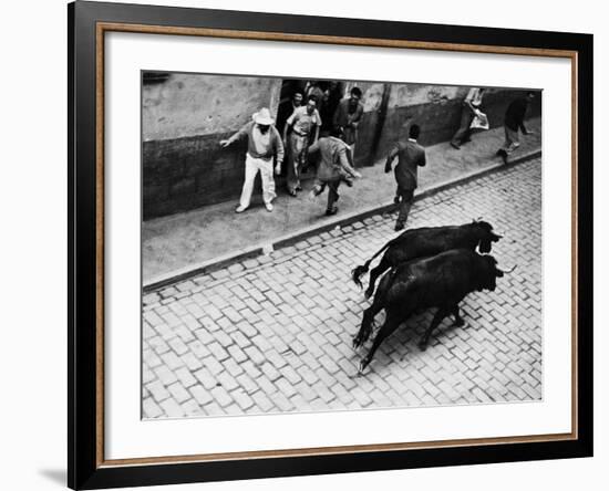 Running of the Bulls for Fiesta of San Ferman-Tony Linck-Framed Photographic Print