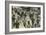 Running of the Bulls, Pamplona, Spain-null-Framed Premium Giclee Print