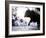 Running of the Bulls, San Fermin Festival, Pamplona, Navarra, Spain, Europe-Marco Cristofori-Framed Photographic Print