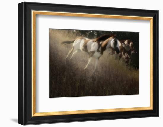 Running Paint-Steve Hunziker-Framed Art Print