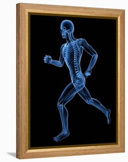 Running Skeleton, Artwork-SCIEPRO-Framed Premier Image Canvas