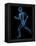 Running Skeleton, Artwork-SCIEPRO-Framed Premier Image Canvas