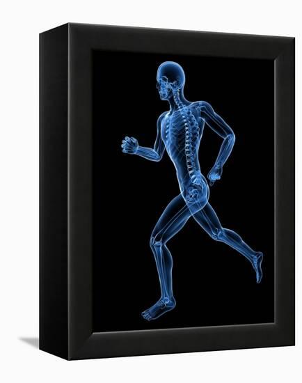 Running Skeleton, Artwork-SCIEPRO-Framed Premier Image Canvas