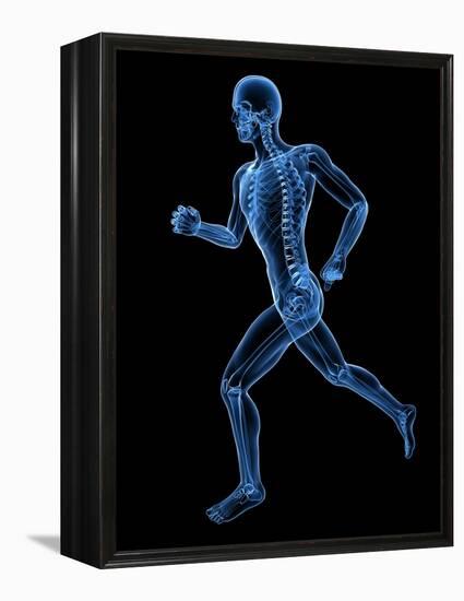 Running Skeleton, Artwork-SCIEPRO-Framed Premier Image Canvas