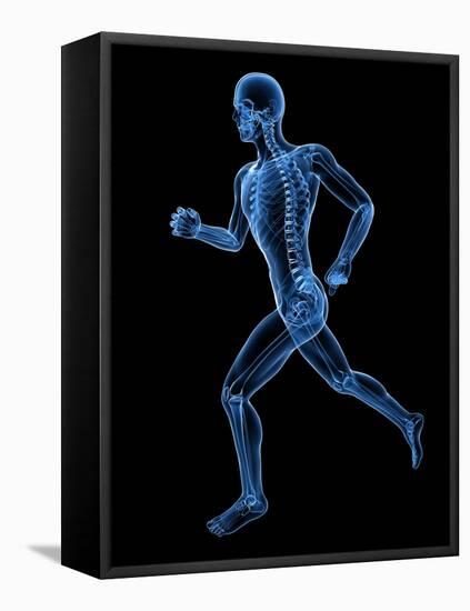 Running Skeleton, Artwork-SCIEPRO-Framed Premier Image Canvas