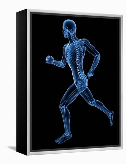 Running Skeleton, Artwork-SCIEPRO-Framed Premier Image Canvas