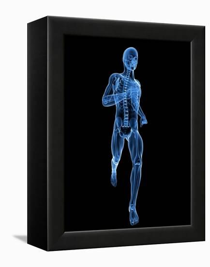 Running Skeleton, Artwork-SCIEPRO-Framed Premier Image Canvas