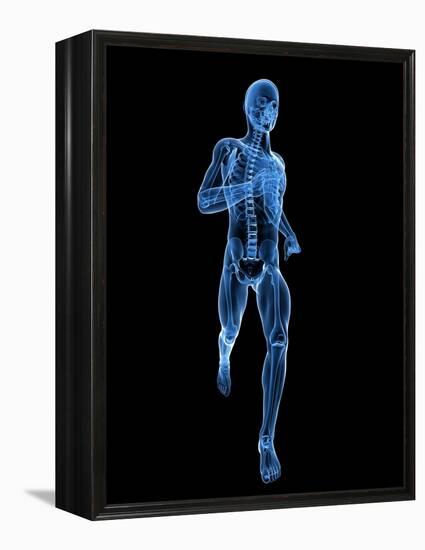 Running Skeleton, Artwork-SCIEPRO-Framed Premier Image Canvas