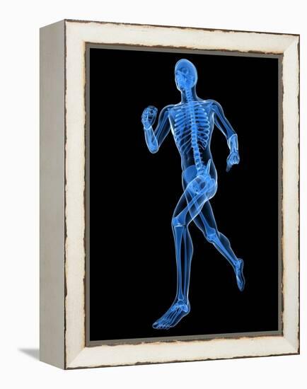 Running Skeleton, Artwork-SCIEPRO-Framed Premier Image Canvas