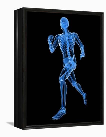 Running Skeleton, Artwork-SCIEPRO-Framed Premier Image Canvas