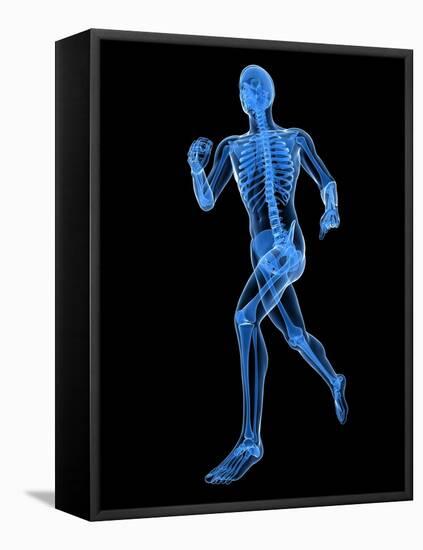 Running Skeleton, Artwork-SCIEPRO-Framed Premier Image Canvas