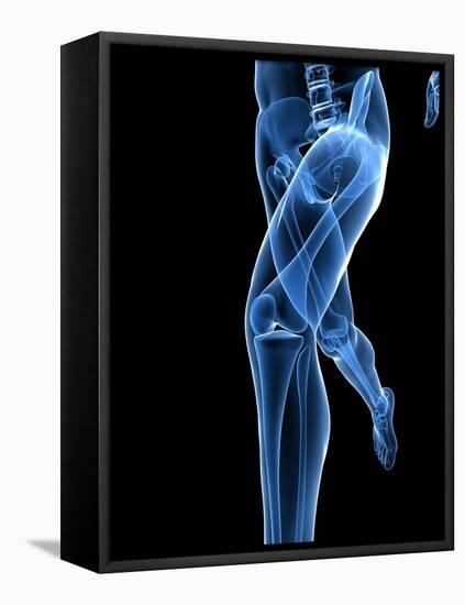 Running Skeleton, Artwork-SCIEPRO-Framed Premier Image Canvas