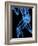 Running Skeleton, Artwork-SCIEPRO-Framed Photographic Print