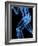 Running Skeleton, Artwork-SCIEPRO-Framed Photographic Print