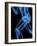 Running Skeleton, Artwork-SCIEPRO-Framed Photographic Print