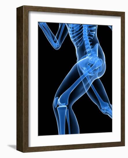 Running Skeleton, Artwork-SCIEPRO-Framed Photographic Print