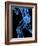 Running Skeleton, Artwork-SCIEPRO-Framed Photographic Print