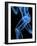 Running Skeleton, Artwork-SCIEPRO-Framed Photographic Print