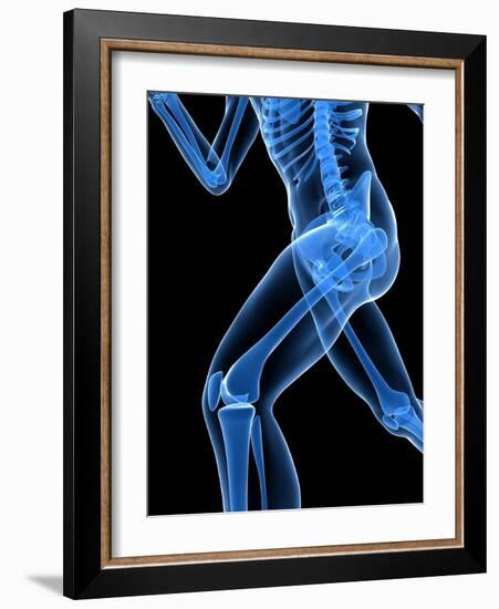 Running Skeleton, Artwork-SCIEPRO-Framed Photographic Print