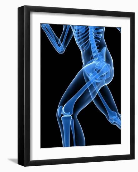 Running Skeleton, Artwork-SCIEPRO-Framed Photographic Print