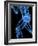 Running Skeleton, Artwork-SCIEPRO-Framed Photographic Print