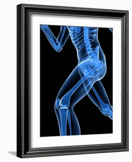 Running Skeleton, Artwork-SCIEPRO-Framed Photographic Print