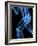 Running Skeleton, Artwork-SCIEPRO-Framed Photographic Print