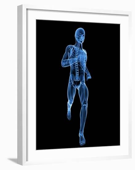 Running Skeleton, Artwork-SCIEPRO-Framed Photographic Print