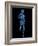 Running Skeleton, Artwork-SCIEPRO-Framed Photographic Print