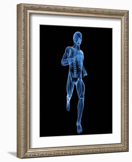 Running Skeleton, Artwork-SCIEPRO-Framed Photographic Print