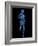 Running Skeleton, Artwork-SCIEPRO-Framed Photographic Print