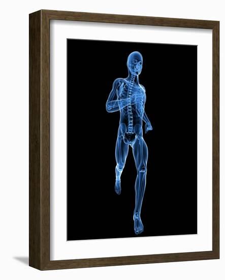 Running Skeleton, Artwork-SCIEPRO-Framed Photographic Print